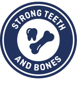 STRONG TEETH AND BONES: